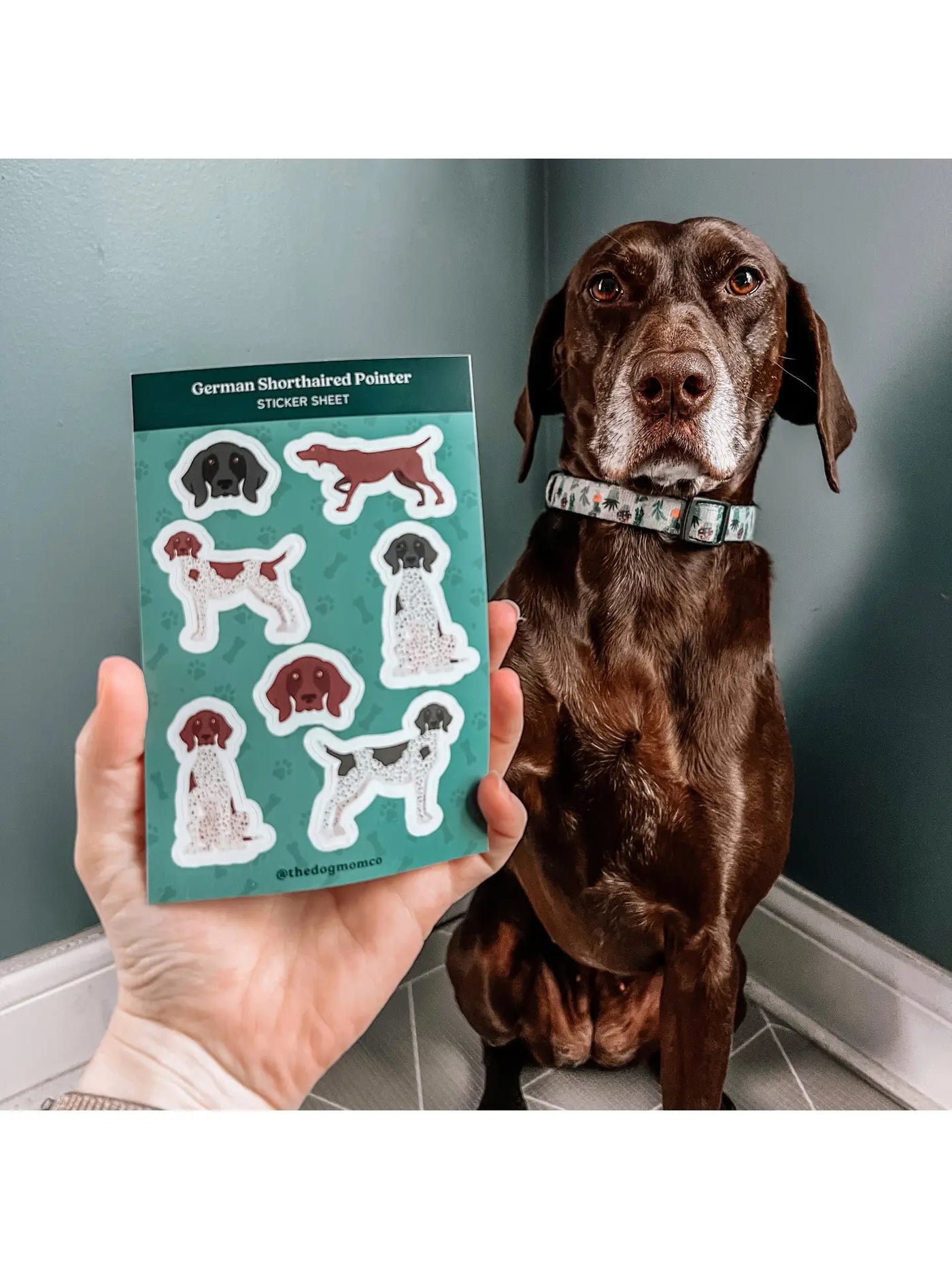 German Shorthaired Pointer Sticker Sheet