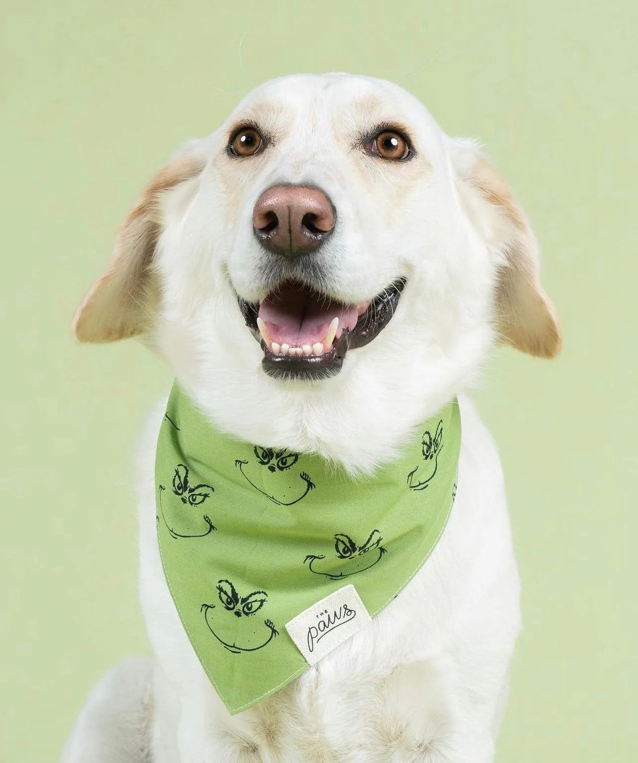 Grinch Bandana