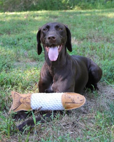 Tall Tails Leather Wool Trout Toy