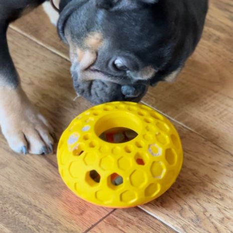 Bee Hive Reward Dog Toy