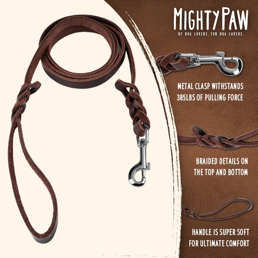 Braided Leather Leash