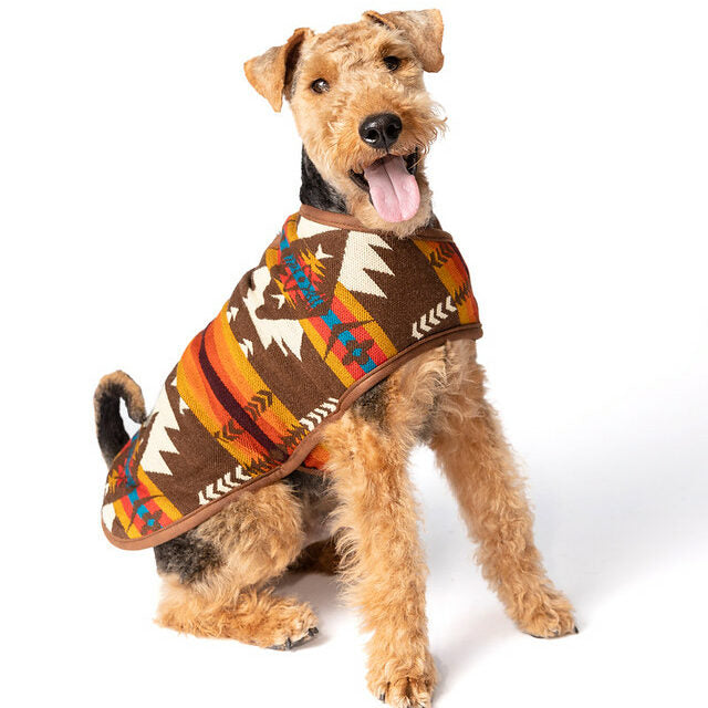 Chilly Dog Brown Southwest Coat