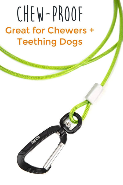 Chew Proof Leash