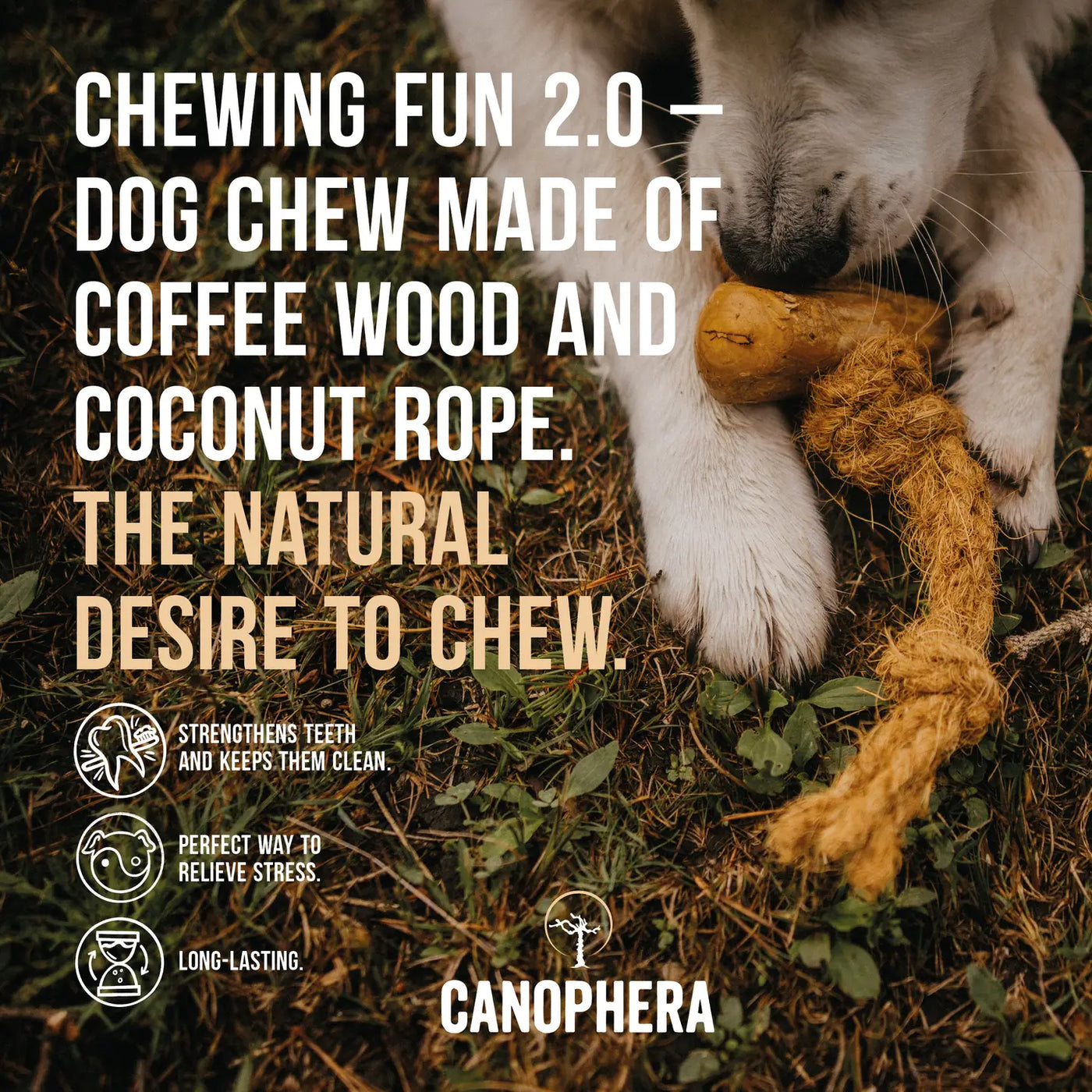 Coffee Wood and Coconut Rope Chew Toy