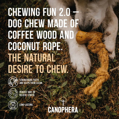 Coffee Wood and Coconut Rope Chew Toy