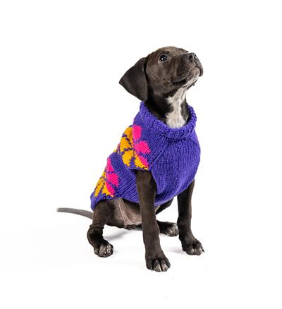 Chilly Dog Flower Power Sweater