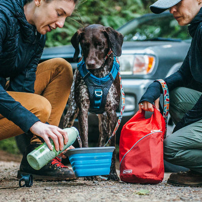 Kurgo Kibble Carrier