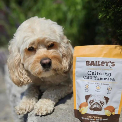 Bailey's Calming CBD Yummies!