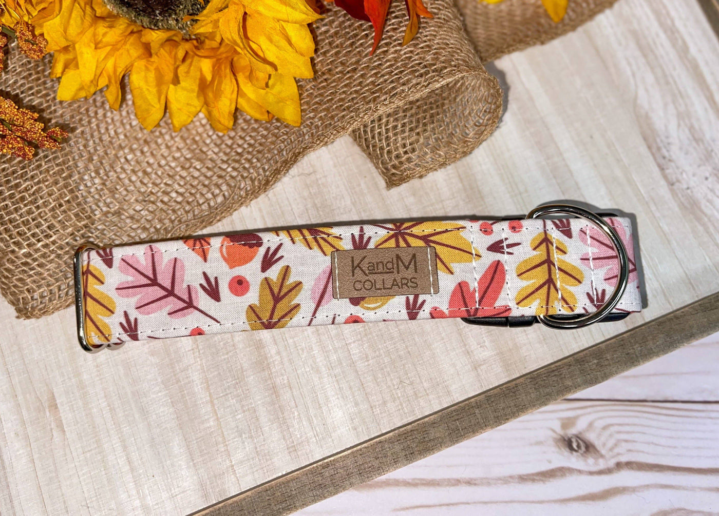 Fall Leaves Dog Collar