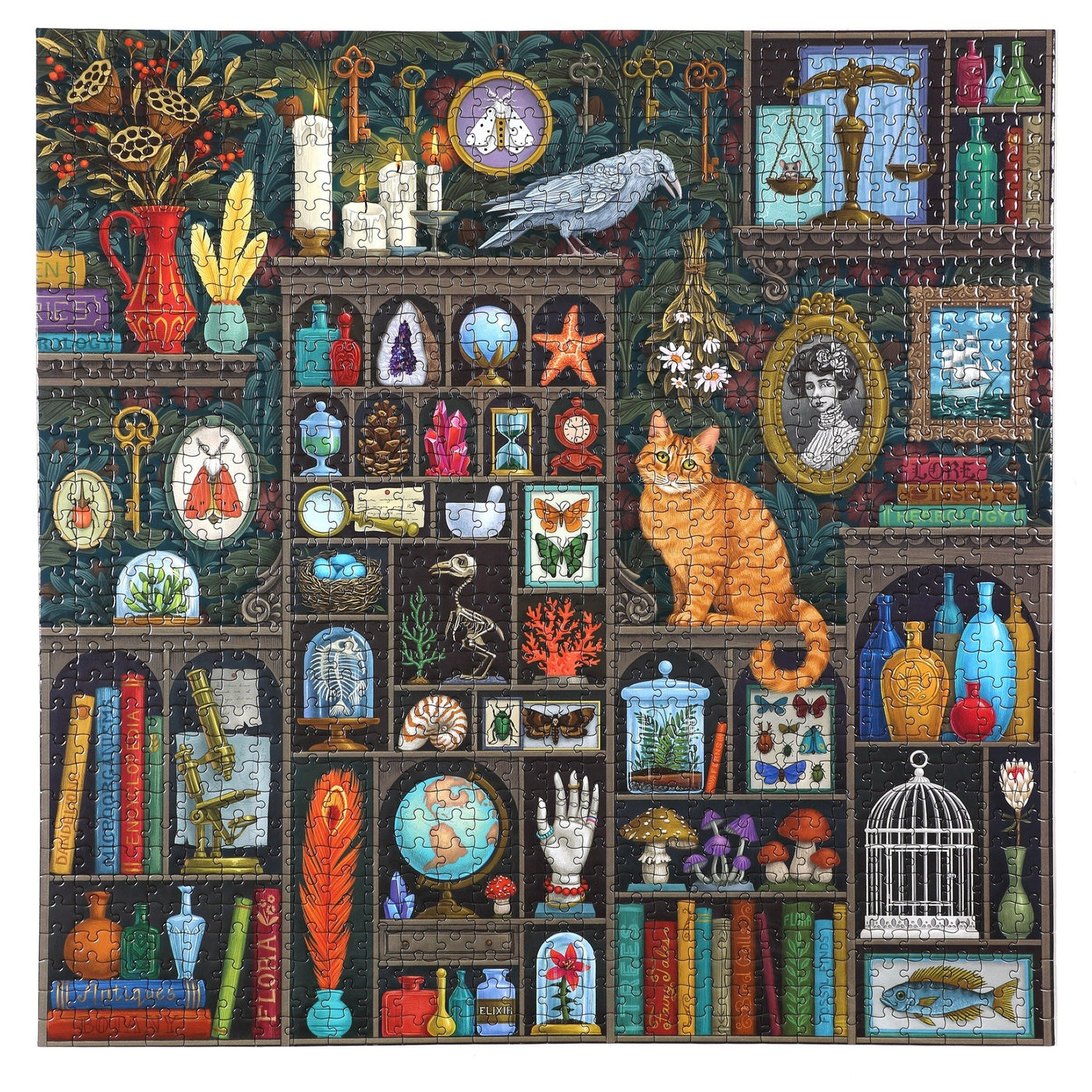 Alchemist's Cabinet 1000 Piece Puzzle