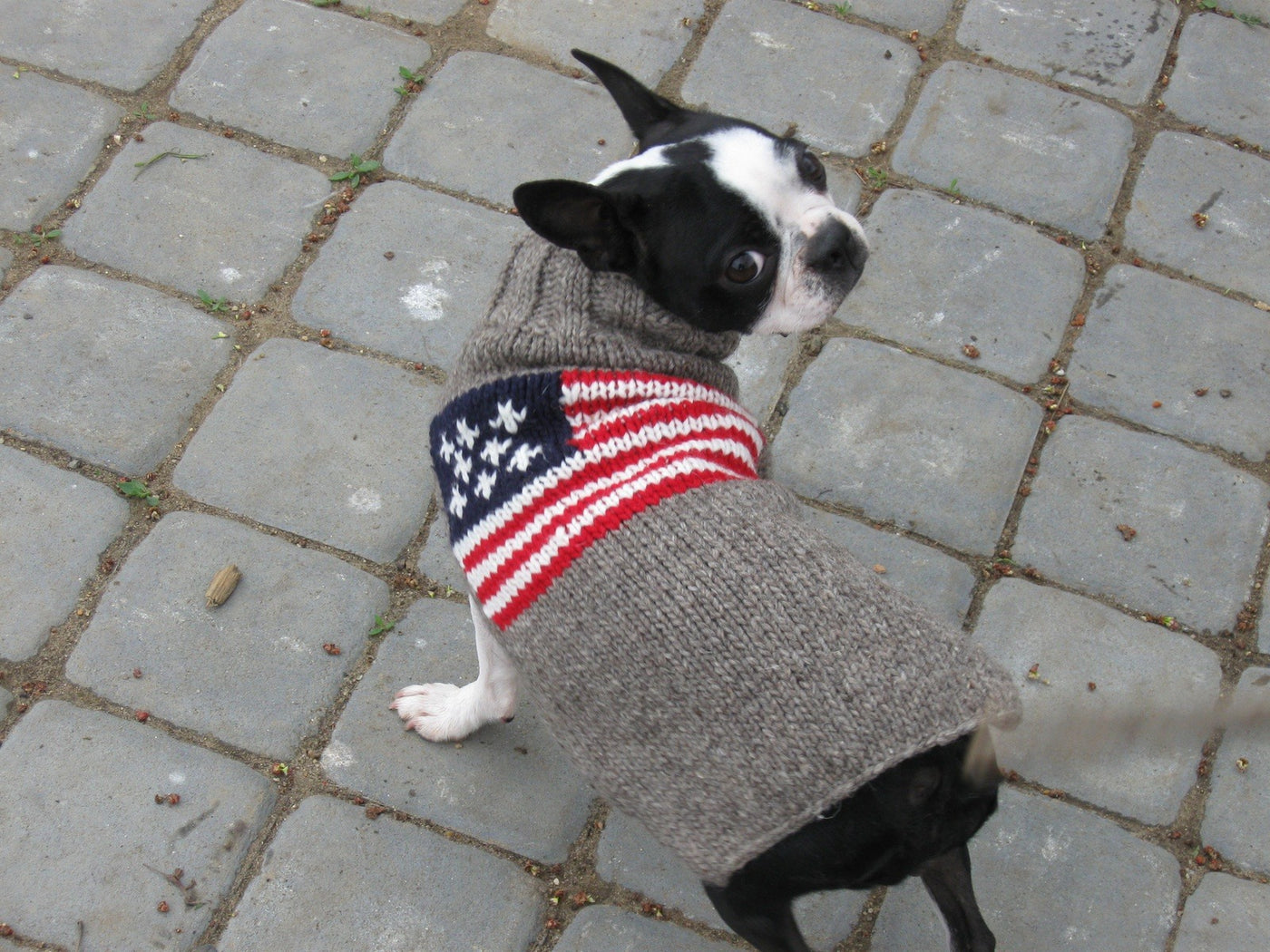 Chilly Dog American Flag Sweater