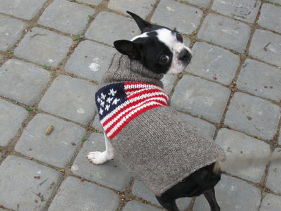 Chilly Dog American Flag Sweater