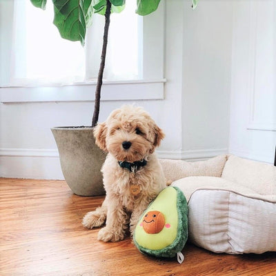 Zippy Paws Avocado