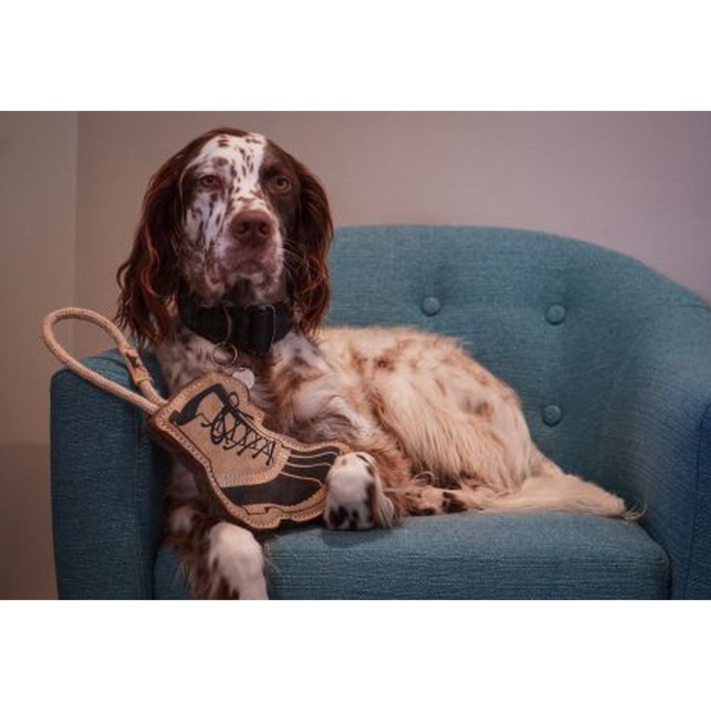 Hiking Boot Tug Toy