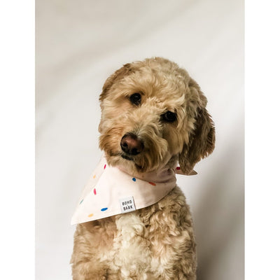 Boho & Bark Best Day Ever Bandana