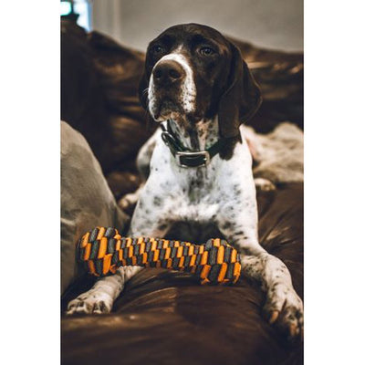 Braided Bone Toy