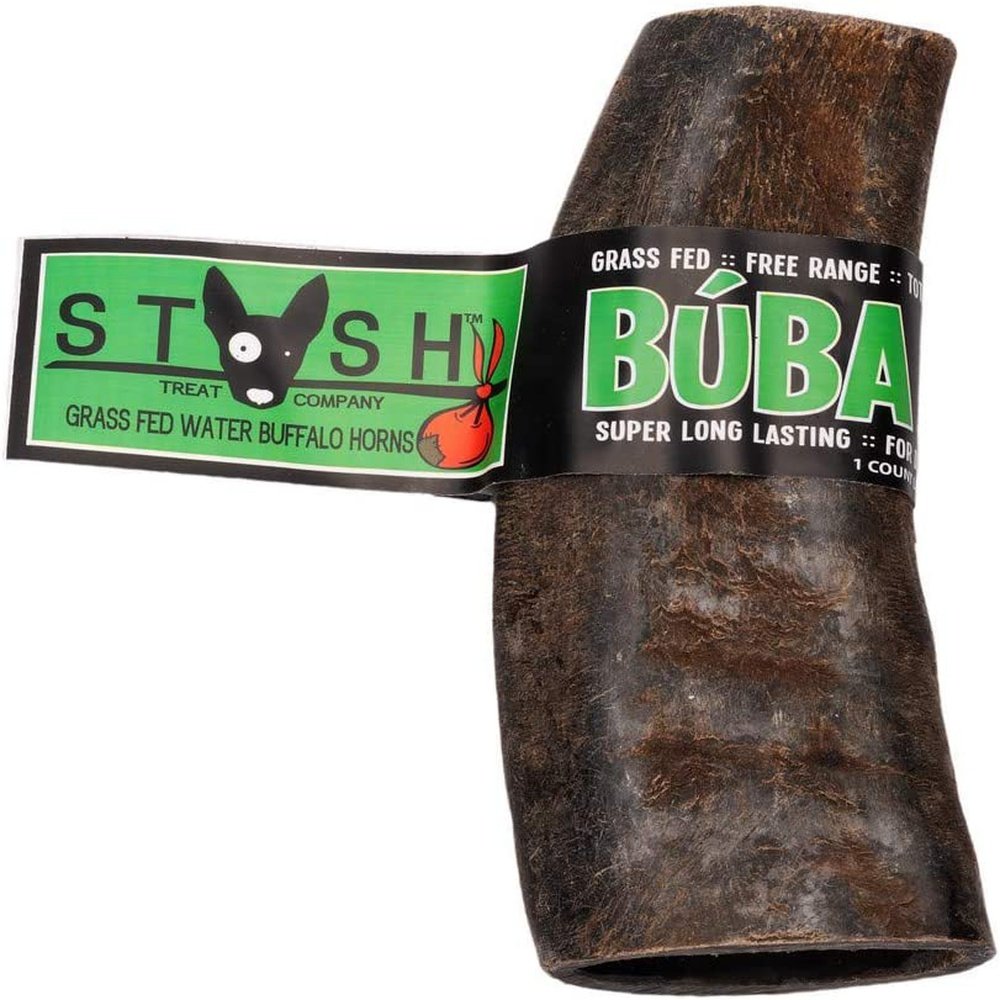 Water Buffalo Horn