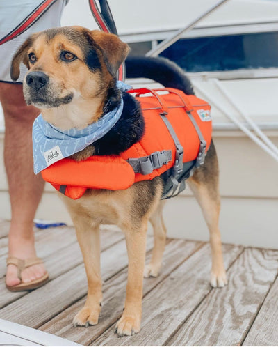 Cape Charles Bandana