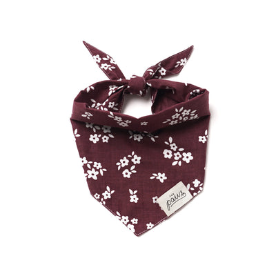 Chatham Bandana