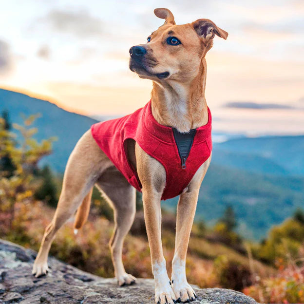 K9 Core Sweater