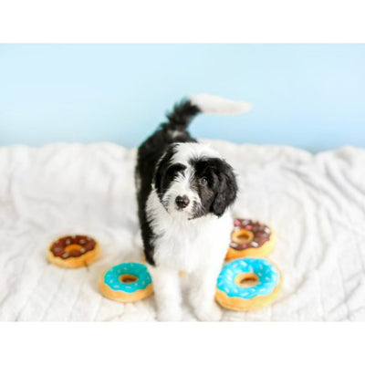 Zippy Paws Junior Donuts Toy