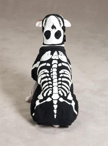 Glow Bones Costume