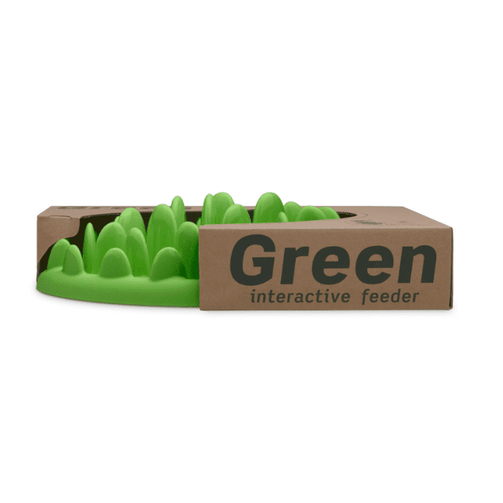 Green Interactive Feeder