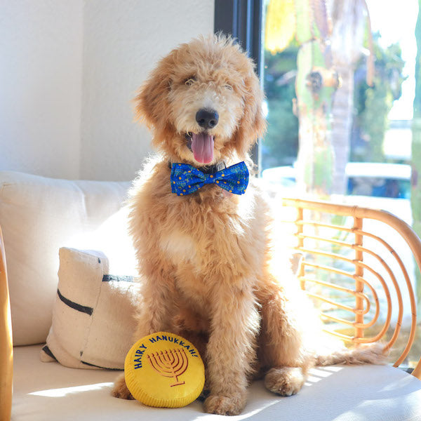 Worthy Dog Hanukkah Bowtie