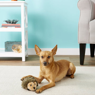 Hedgehog Toy