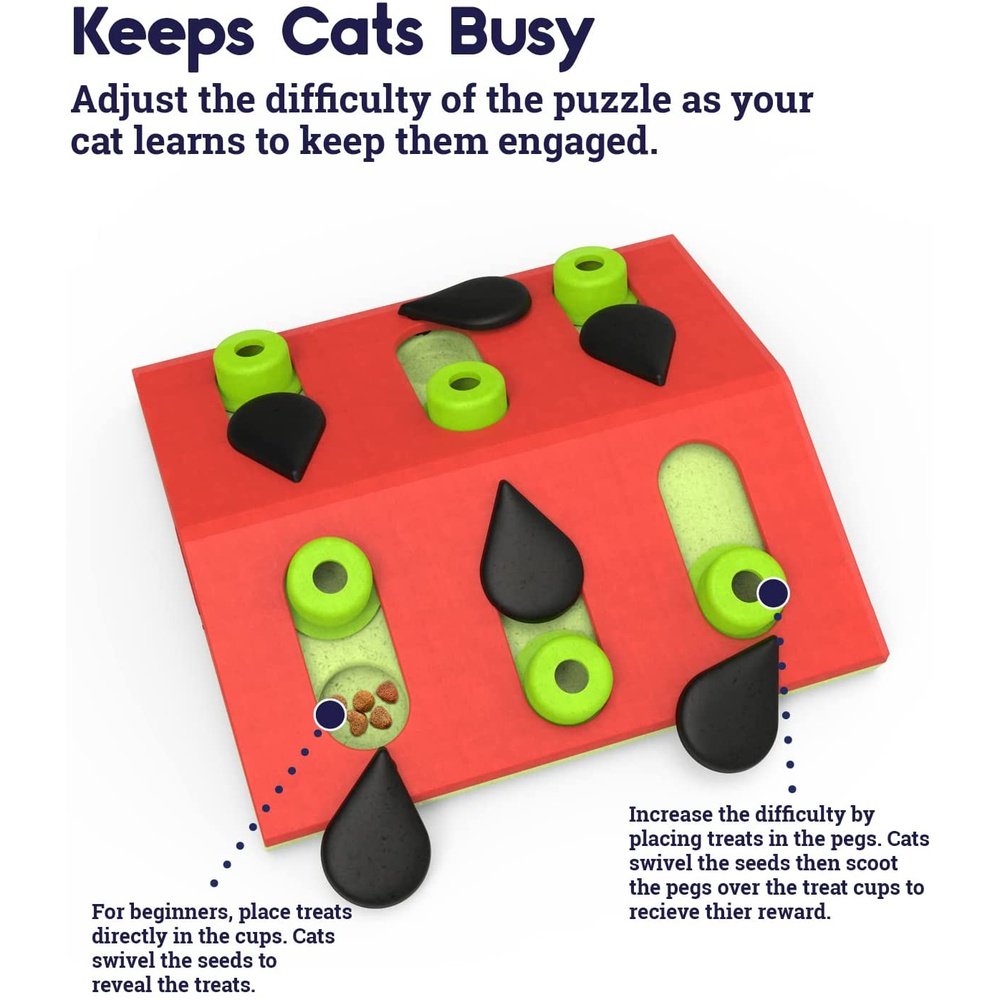 Melon Madness Cat Interactive Puzzle