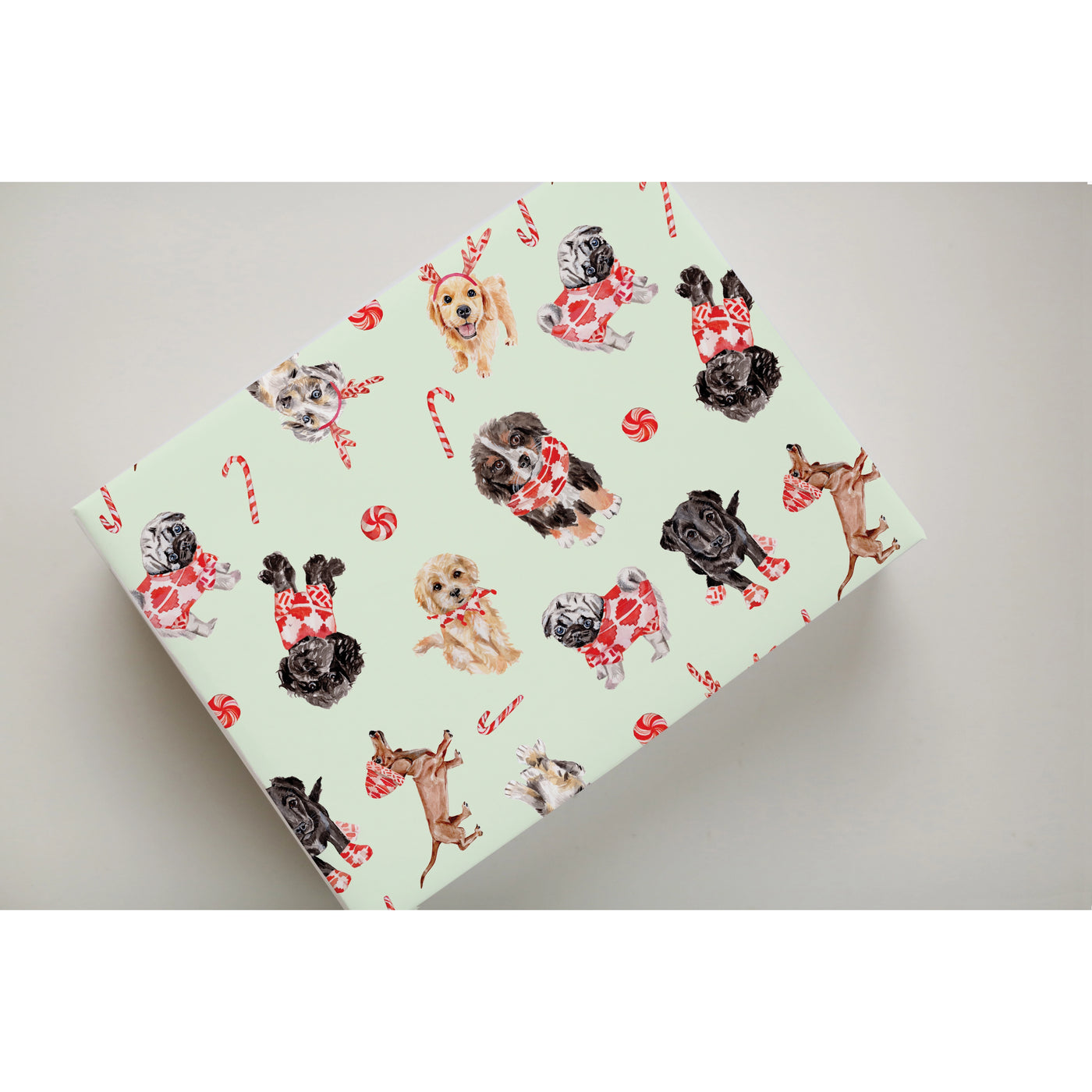 Mint Christmas Puppies Gift Wrap