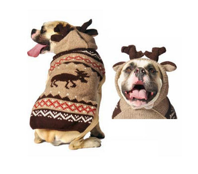 Chilly Dog Moosey Sweater