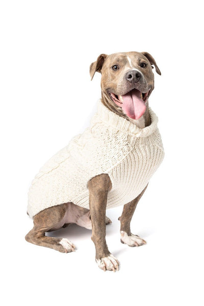 Chilly Dog Natural Cable Sweater