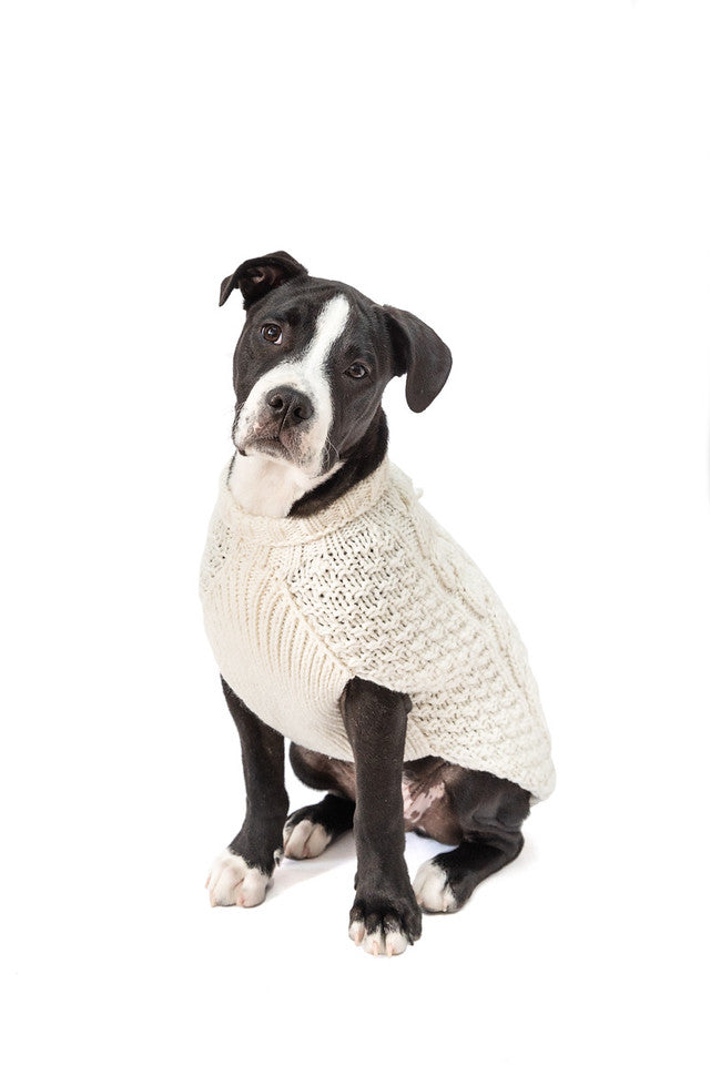 Chilly Dog Natural Cable Sweater