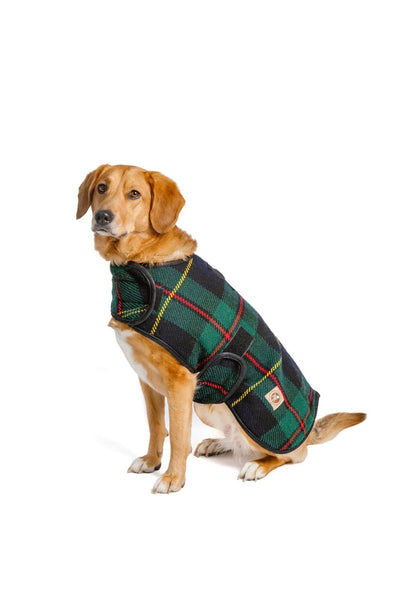 Chilly Dog Navy Tartan Plaid Coat