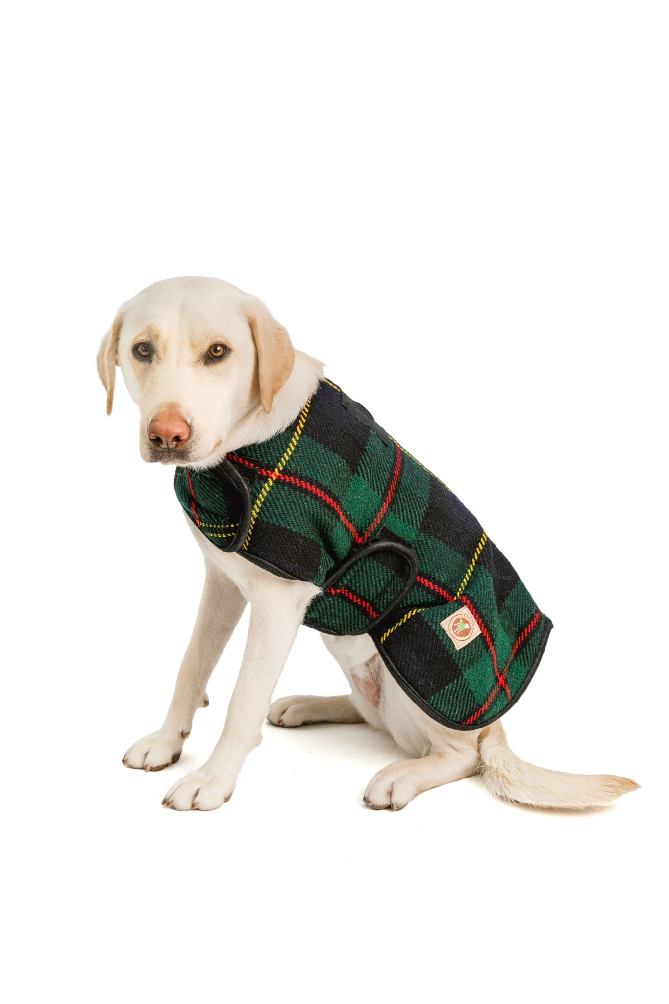 Chilly Dog Navy Tartan Plaid Coat