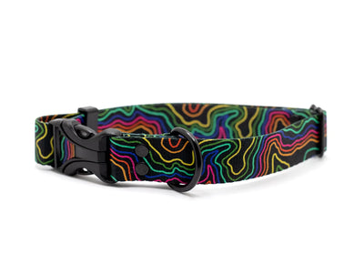 Pacific Hound Midnight Pride Collar