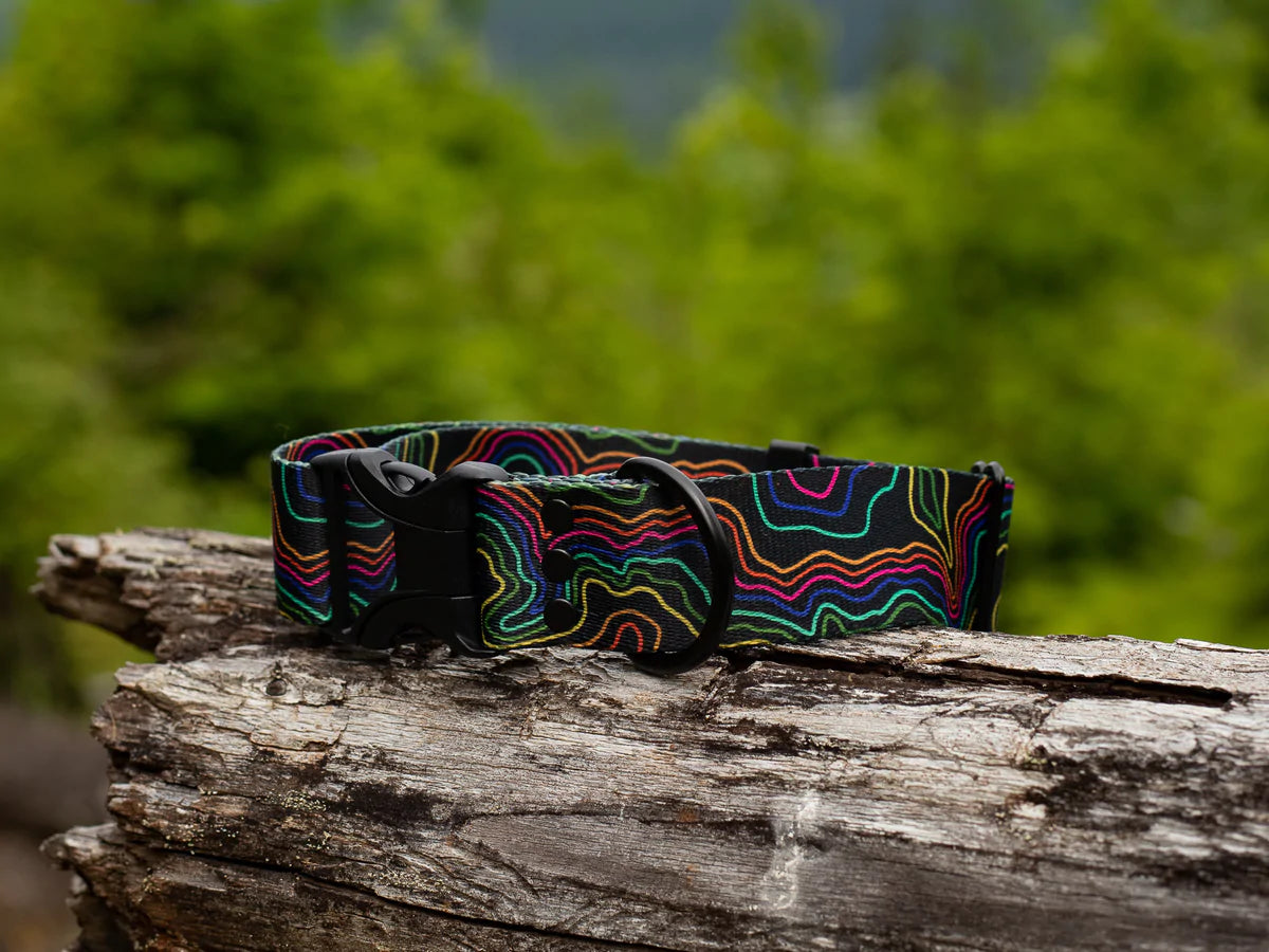 Pacific Hound Midnight Pride Collar