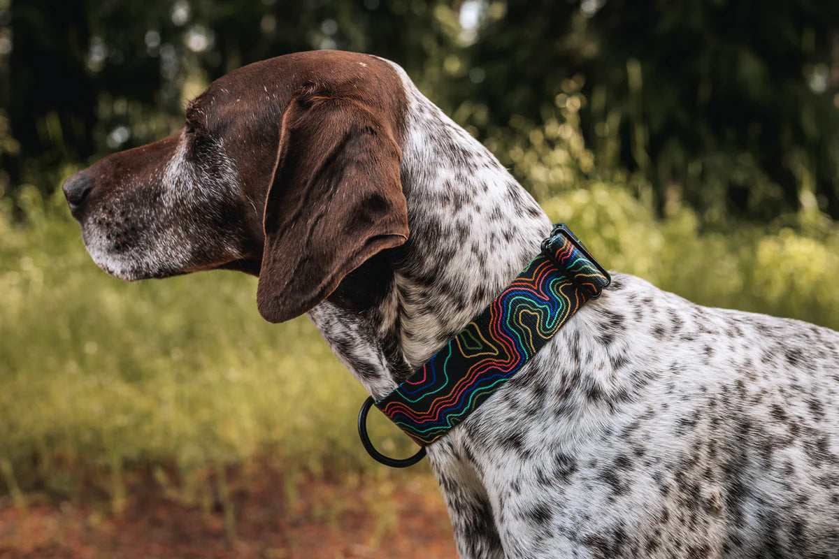 Pacific Hound Midnight Pride Collar