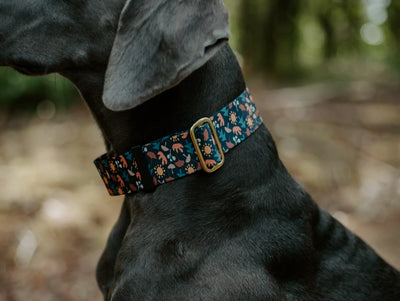 Pacific Hound Navy Boho Forest Collar