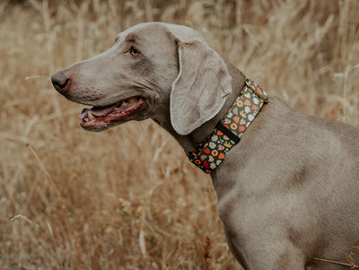 Olive Boho Floral Collar