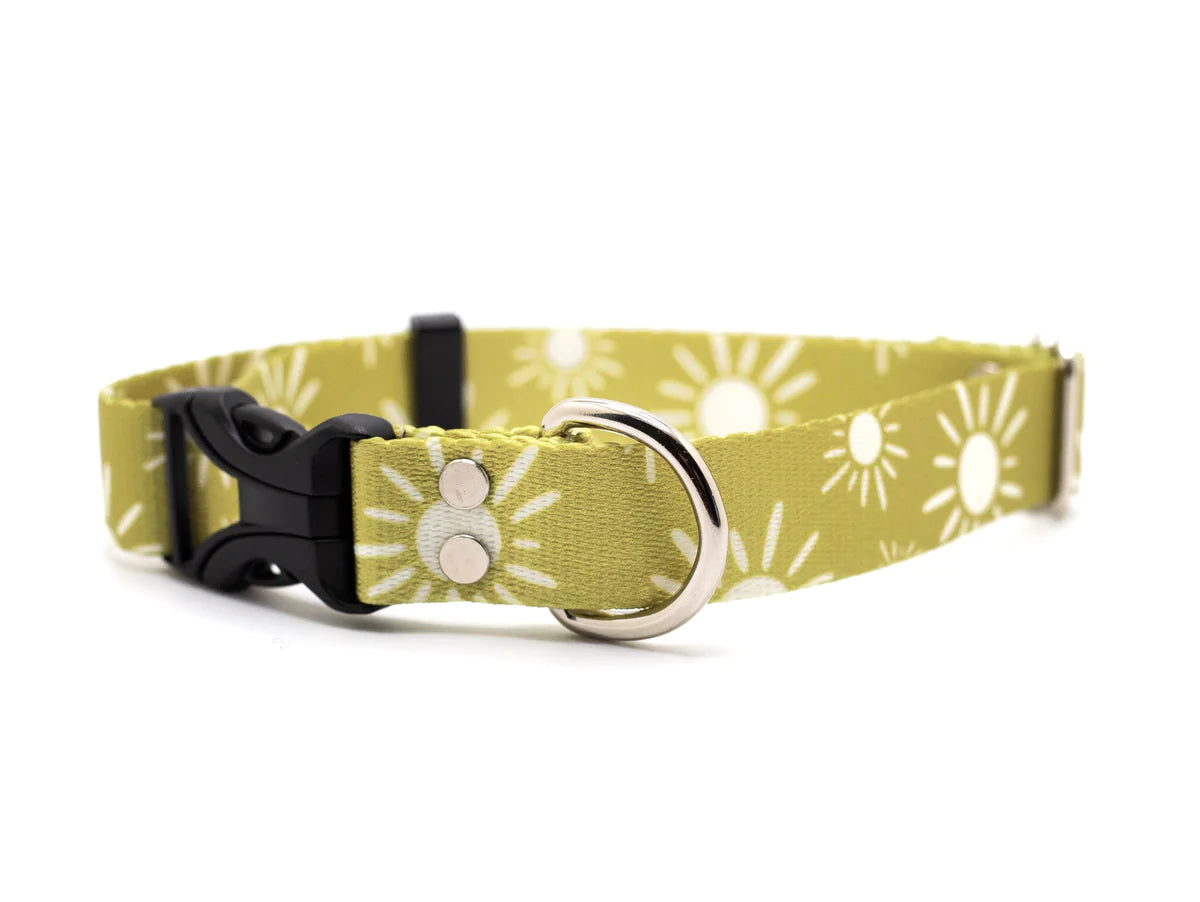 Pacific Hounds Olive Suns Collar