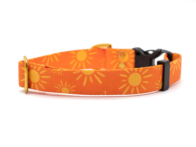 Pacific Hound Tangerine Suns Collar