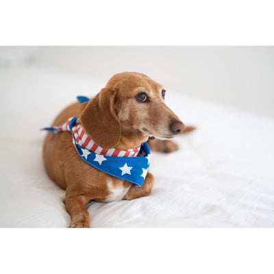 Patriotic Bandana