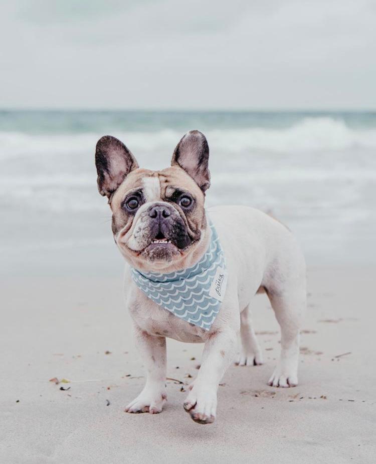 Perfect Wave Bandana