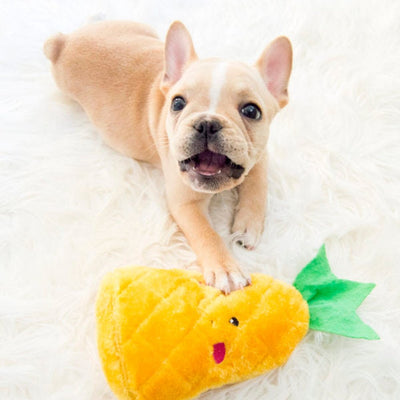 Zippy Paws Pineapple Toy