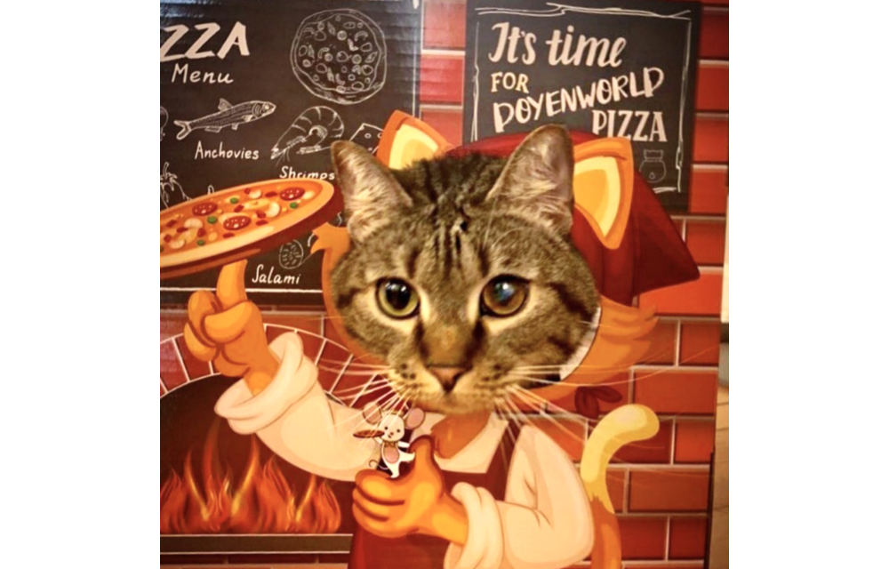 Pizzeria Cat Funbox