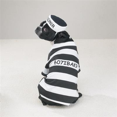 Prison Pooch Costume