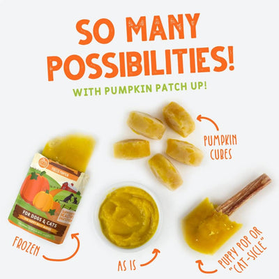 Pumpkin Patch Up Pouch 2.8oz