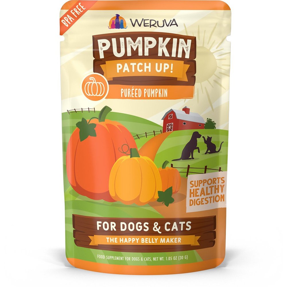 Pumpkin Patch Up Pouch 2.8oz